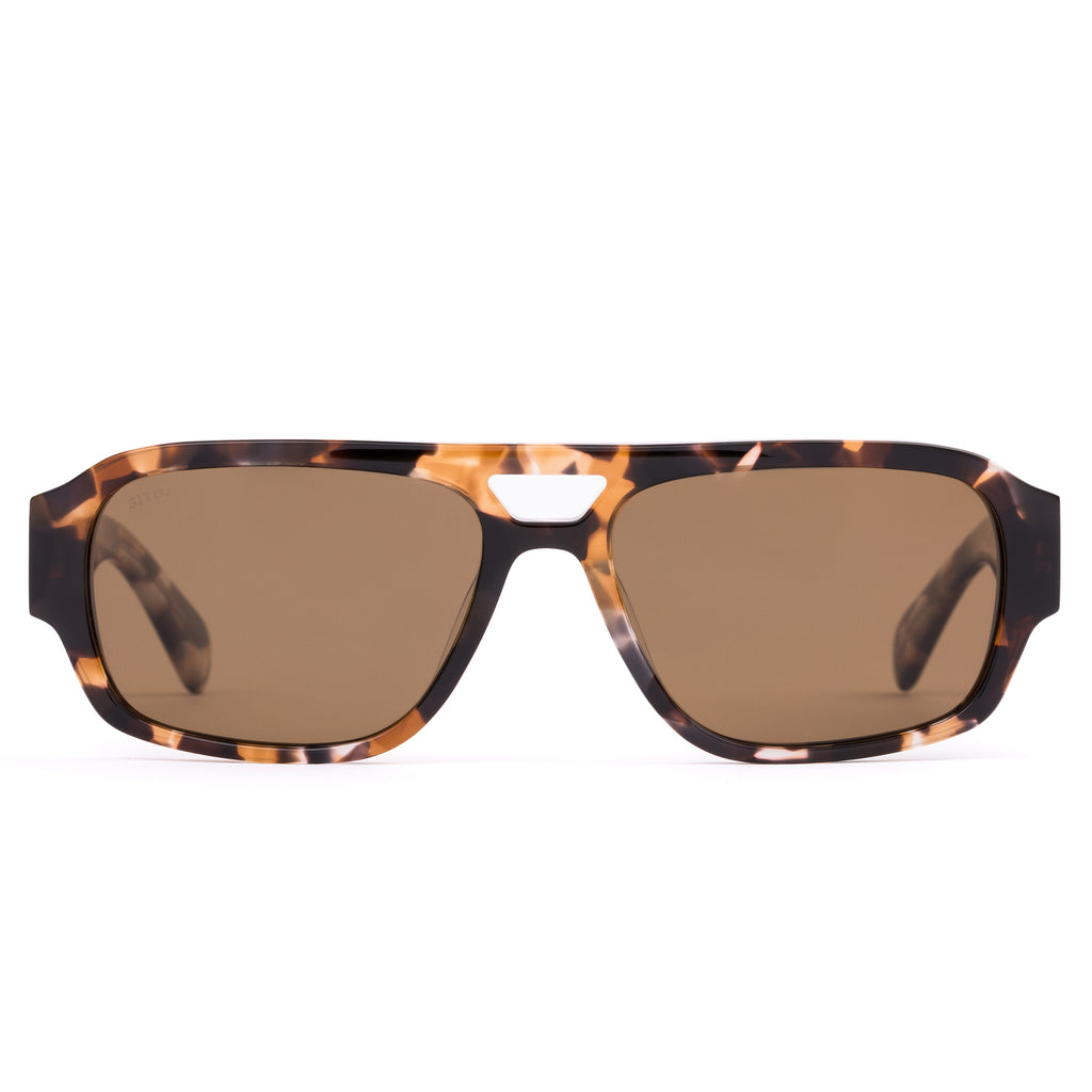 Atlas : Pebble Tort / Brown Polar