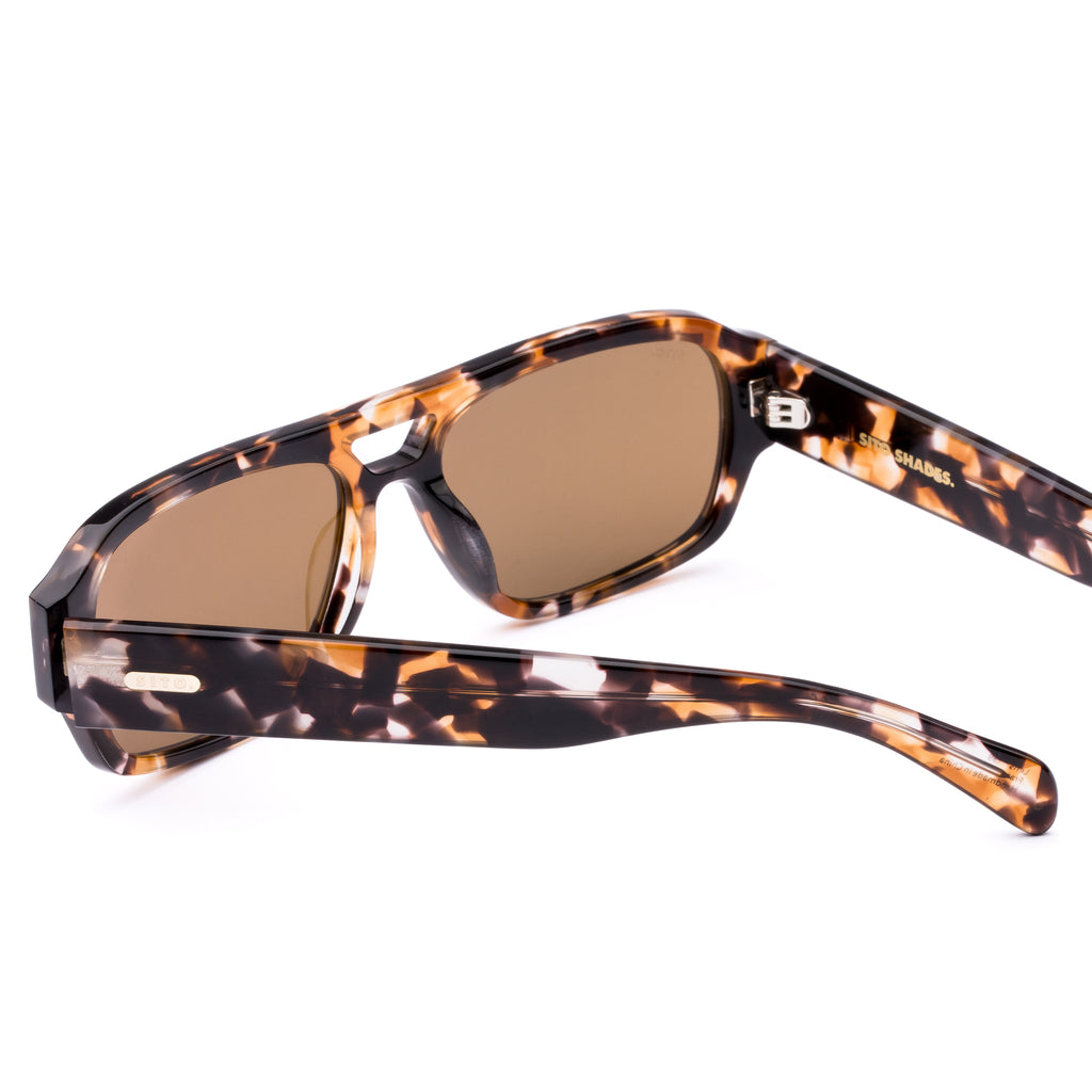 Atlas : Pebble Tort / Brown Polar