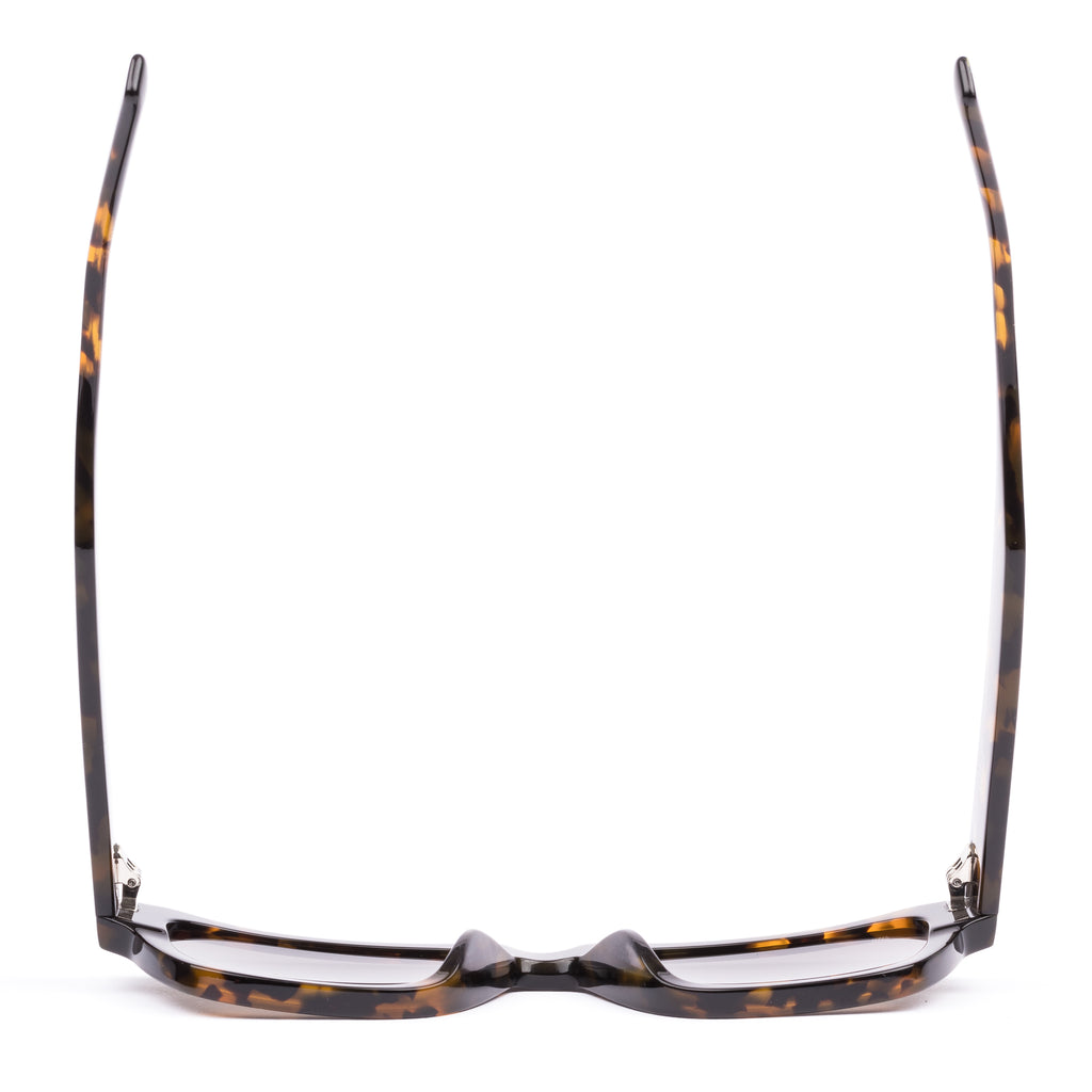 Boston : Ecru Tort / Iron Grey Polar