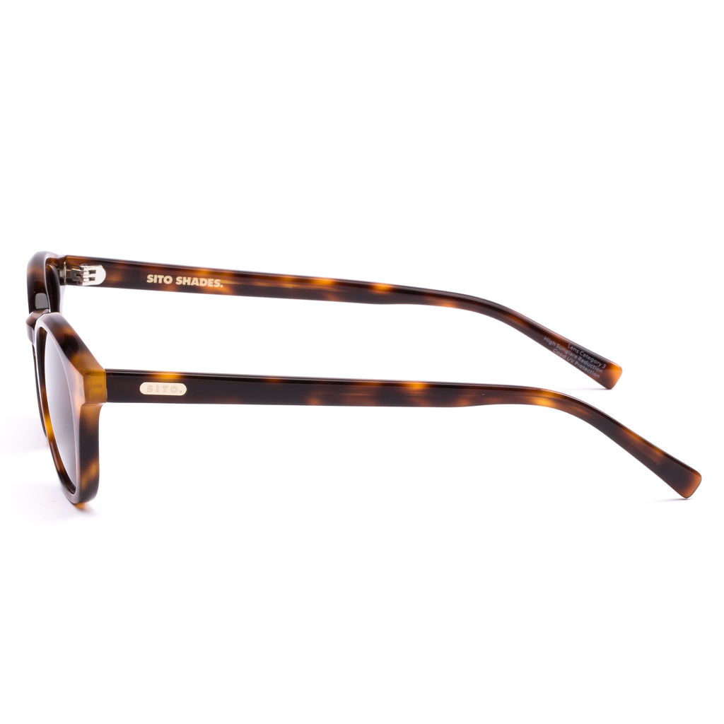 Elio : Classic Tort / Coffee