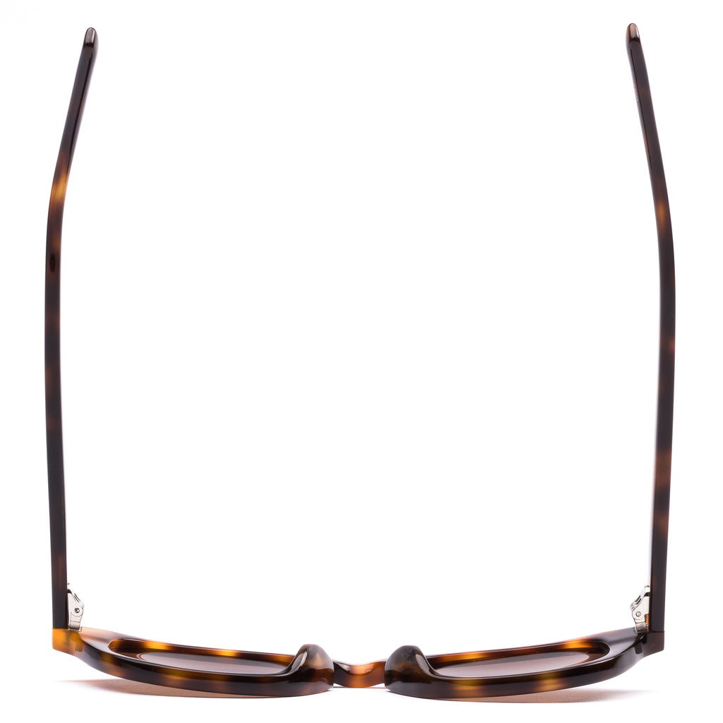 Elio : Classic Tort / Coffee