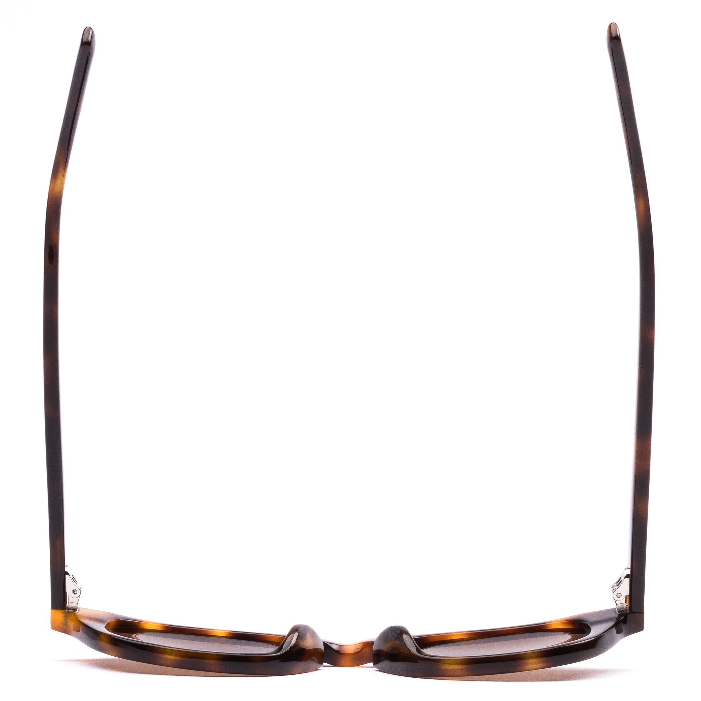 Elio : Classic Tort / Coffee