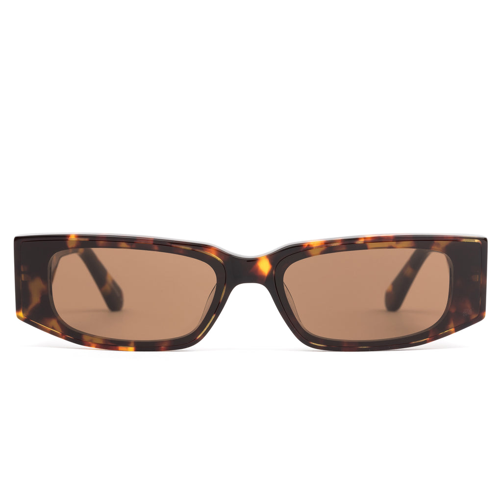 Endless : Maple Tort / Brown