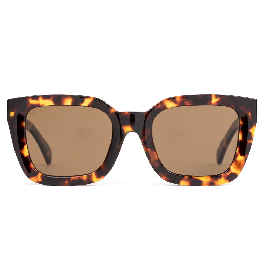 Harlow : Maple Tort / Brown Polar