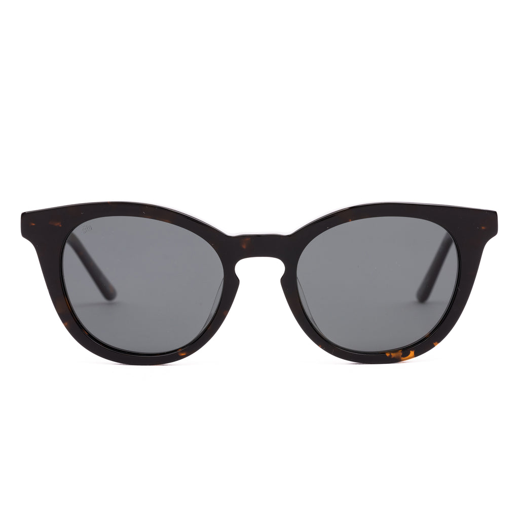 Now Or Never : Havana / Iron Grey Polar