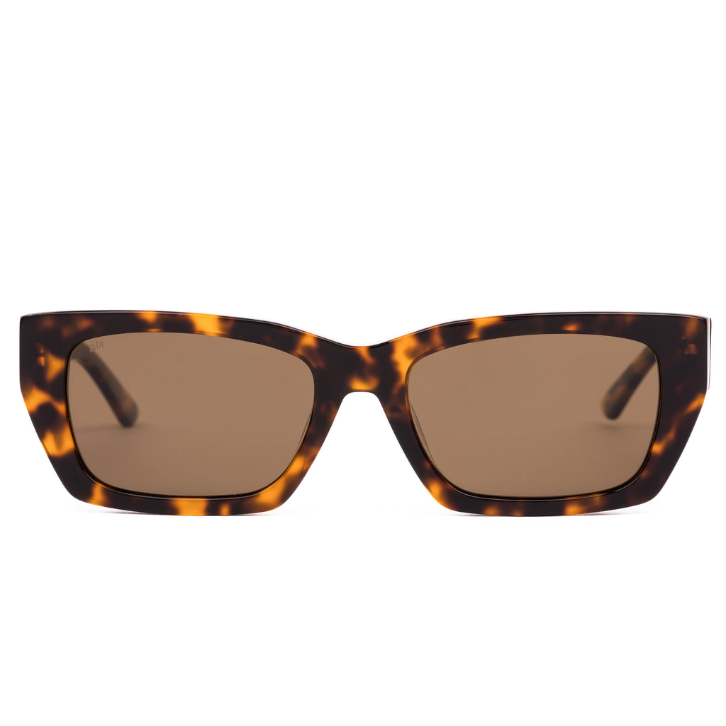 Outer Limits : Honey Tort / Brown Polar