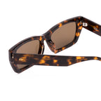 Outer Limits : Honey Tort / Brown Polar