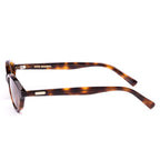 Orion : Classic Tort / Fawn Polar