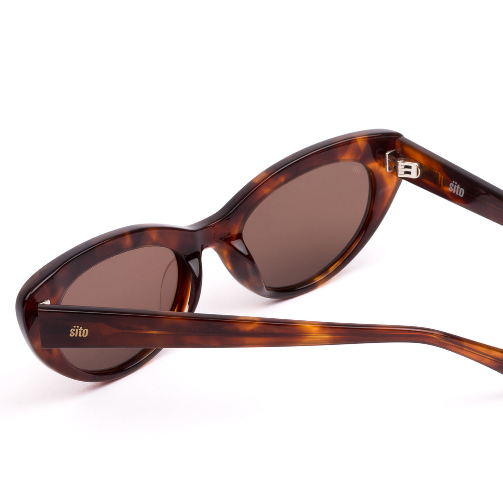Siena : Burnt Orange Tort / Coffee