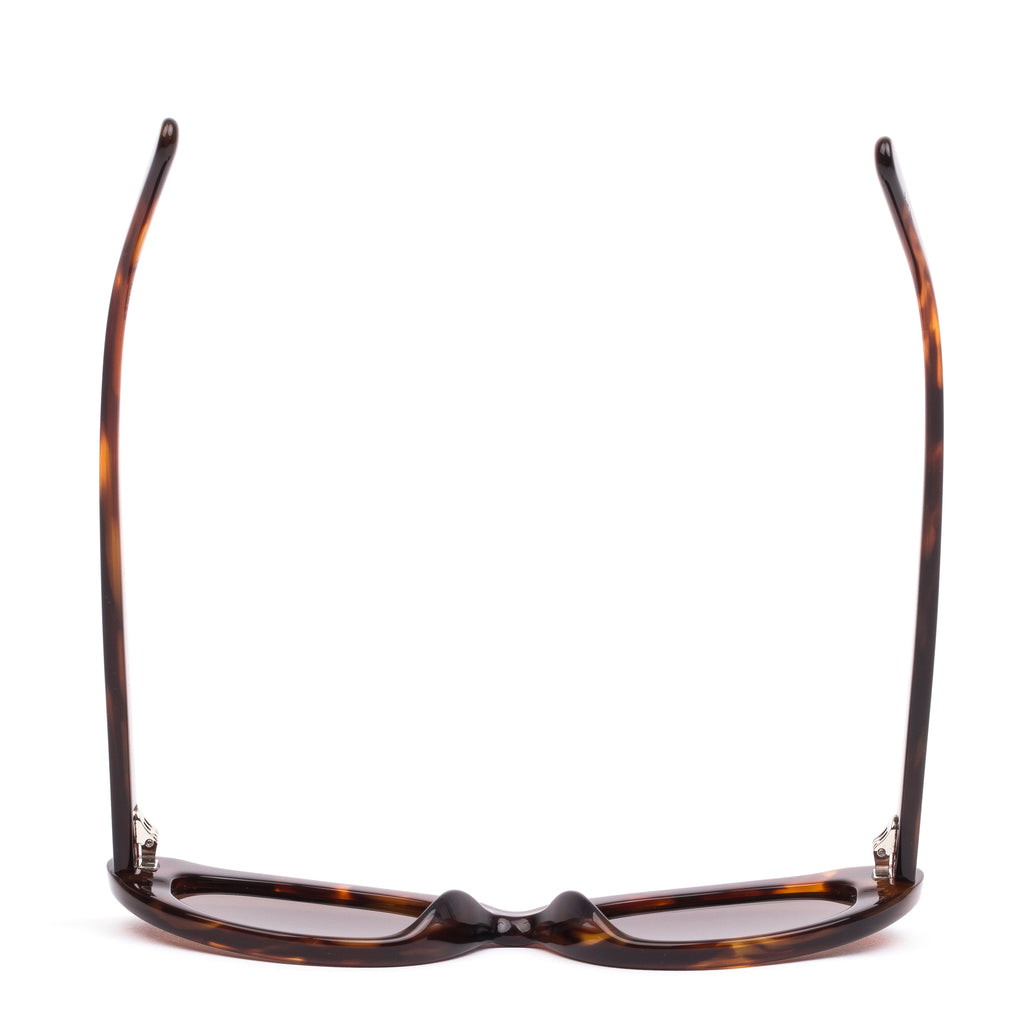 Siena : Burnt Orange Tort / Coffee