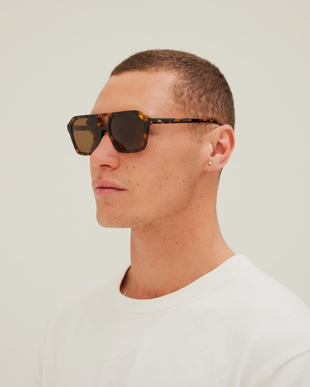 The Void : Maple Tort / Brown Polar